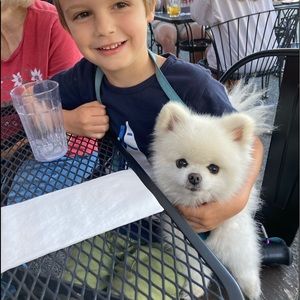 Meet your Posher, Mary